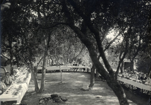 Pomona College students picnicking