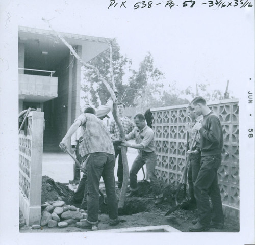 Tree planting, Harvey Mudd College