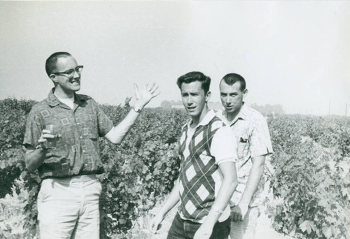 Students in vineyard, Harvey Mudd College