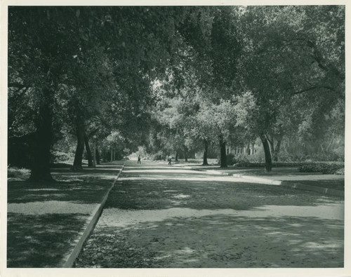 Stover Walkway, Pomona College