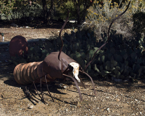 Desert Garden, Pitzer College