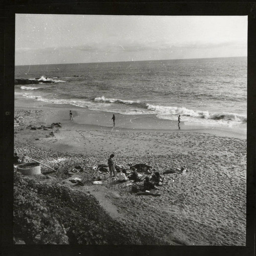 Beach day trip, Scripps College