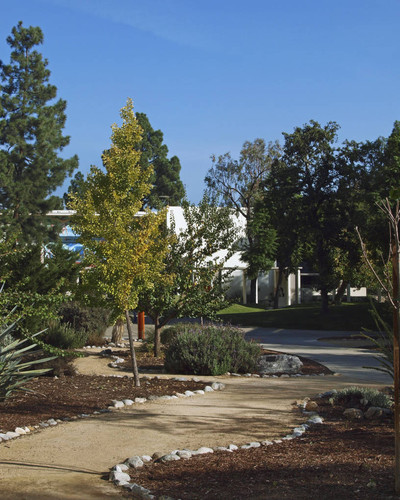 Pathway, Pitzer College