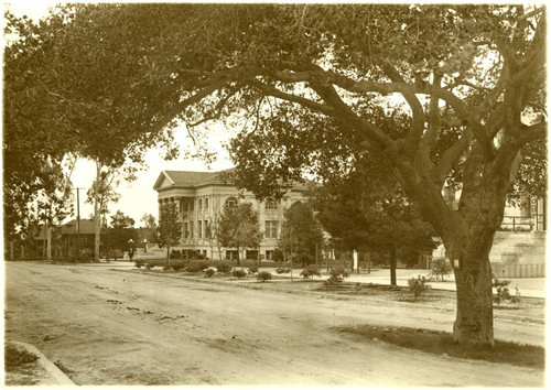 Carnegie Hall Library and tree, Pomona College