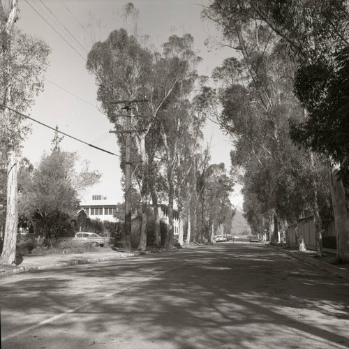 Columbia Avenue, Harvey Mudd College