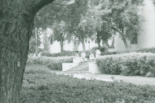 Honnold Library through trees