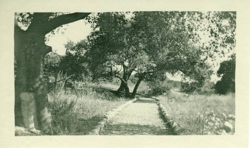 Blanchard Park, Pomona College