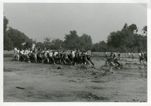 Class competition, Pomona College