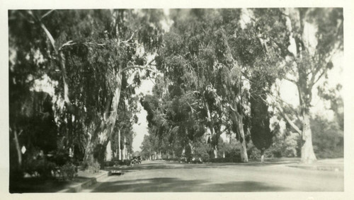 College Avenue, model cars, Pomona College