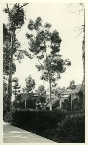 College Avenue, landscaping, Pomona College