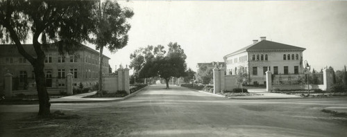 College Avenue with tree in the center, Pomona College