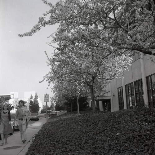 Bauer Center, Claremont McKenna College