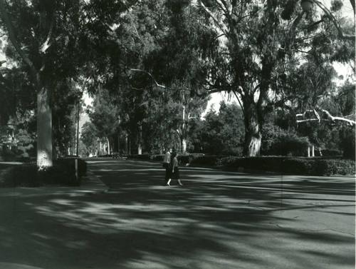 College Avenue at Third Street, Pomona College