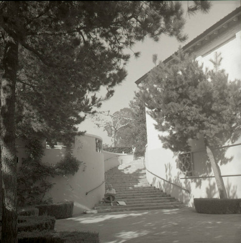 Lang Art Building steps, Scripps College