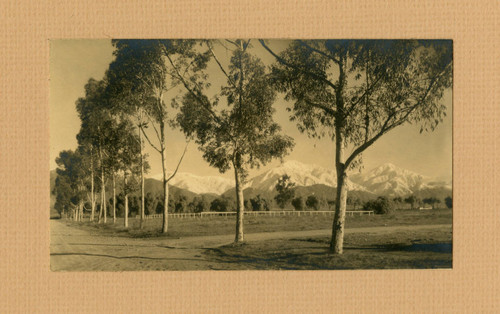 Athletic field, Claremont Colleges