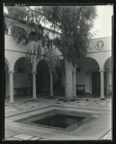 Eucalyptus Court, Scripps College