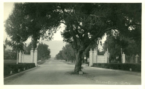 Pomona College gates, tree, sign, Pomona College