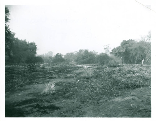 Blanchard Park after fire, Pomona College