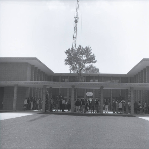 Kingston Hall with olive tree suspended by crane, Harvey Mudd College