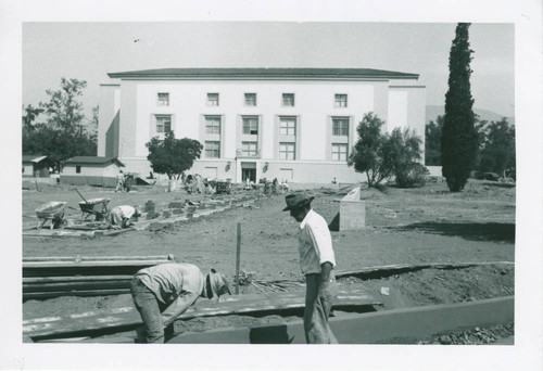 Construction curbs on College Way