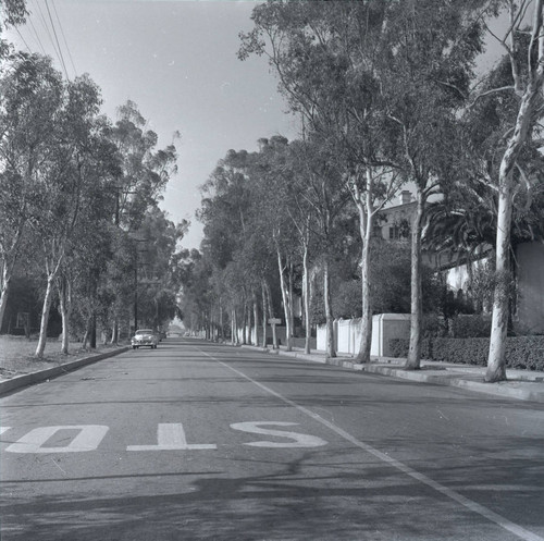 Columbia Avenue, Scripps College