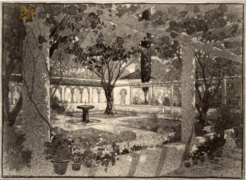 Margaret Fowler Garden drawing