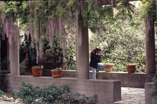 Margaret Fowler Garden