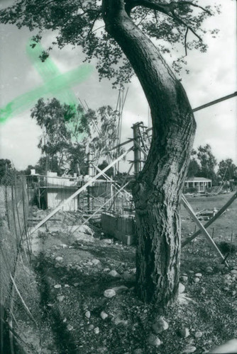 Marian Miner Cook Athenaeum Construction, Claremont McKenna College