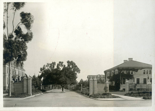 Pomona College gates, tree, Pomona College