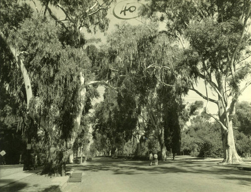 College Avenue at Third Street, Pomona College