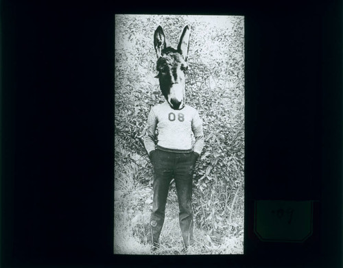 Donkey-headed student, Pomona College