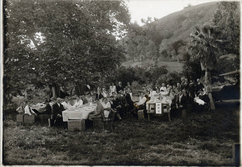 Pomona College student picnic