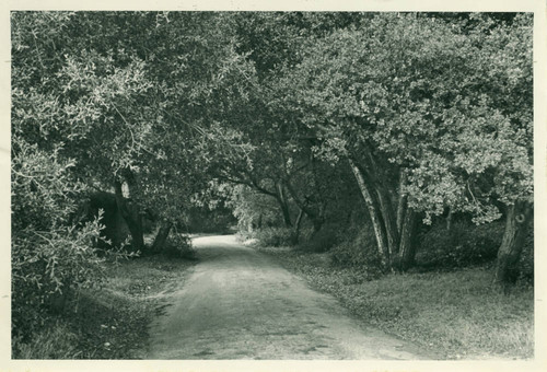 Blanchard Park, Pomona College