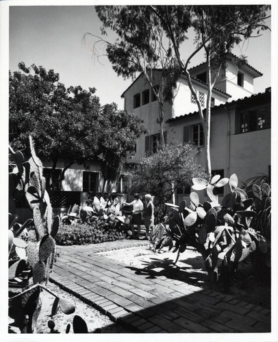 Cacti in Mexican Court, Scripps College