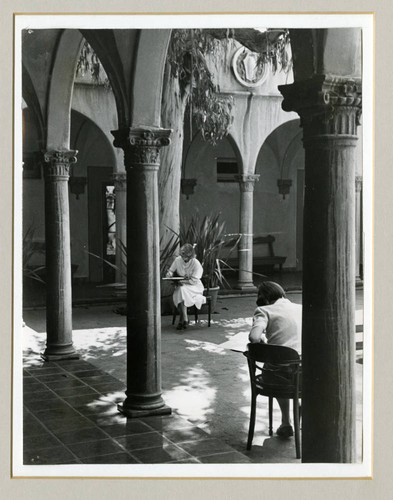 Studying in Eucalyptus Court