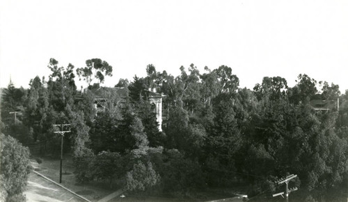 Carnegie Hall Library obscured by trees, Pomona College