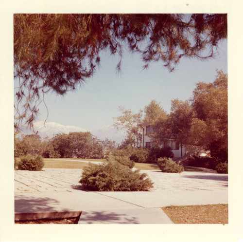 Greenery, Claremont McKenna College