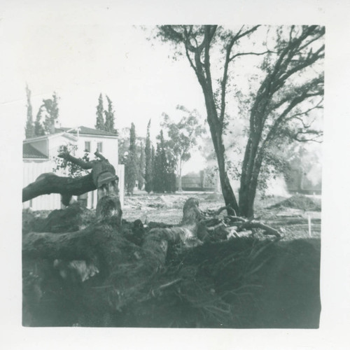 Construction of Memorial Gym, Pomona College