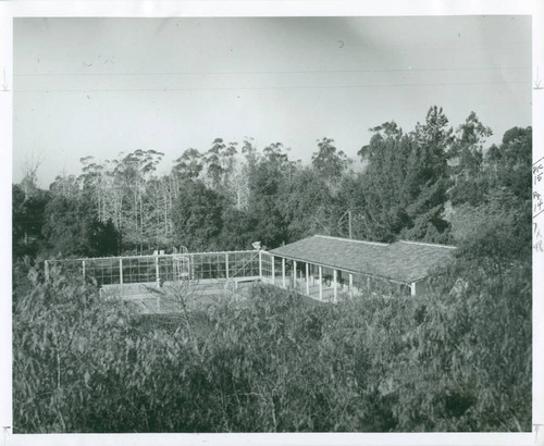 Swimming pool, Scripps College