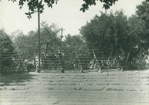 Construction of the Greek Theater, Pomona College