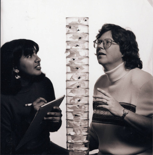 Biology student with professor and spiders, Scripps College