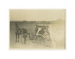 Two women and a man on horse drawn carriage