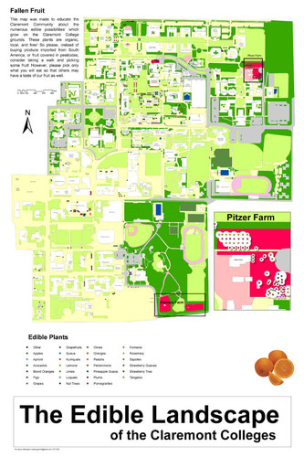 The Edible Landscape of the Claremont Colleges