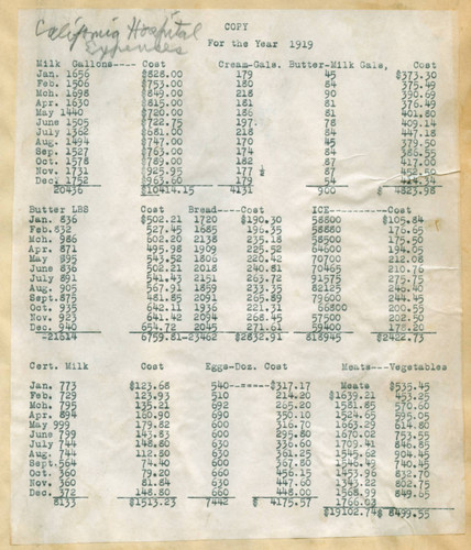 California Hospital expenses for the year 1919