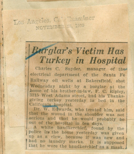 Burglar's victim has turkey in hospital