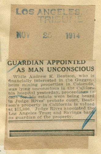 Guardian appointed as man unconscious