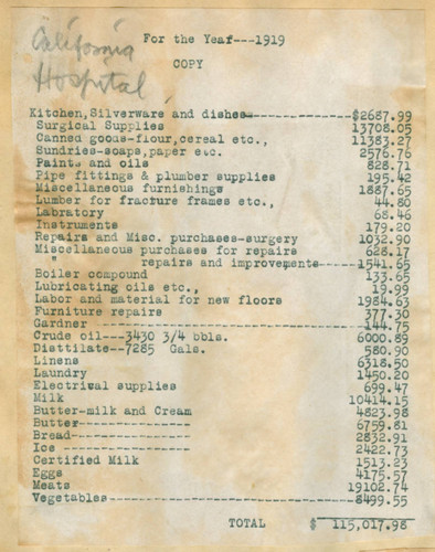 California Hospital expenses for the year 1919