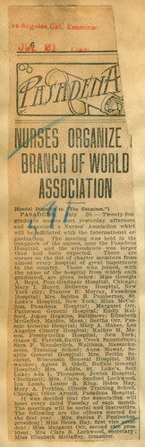 Nurses organize branch of world organization