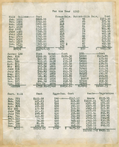 California Hospital expenses for the year 1919