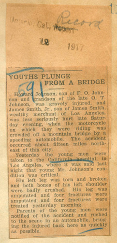 Youths plunge from a bridge